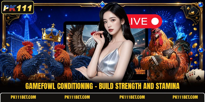 Gamefowl Conditioning - Build Strength And Stamina