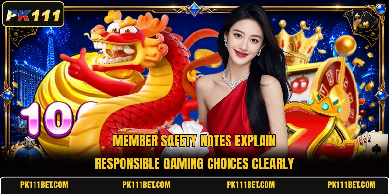 Member safety notes explain responsible gaming choices clearly