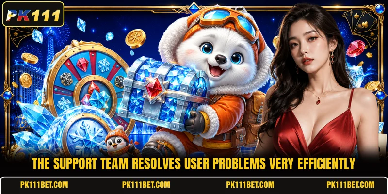 The support team resolves user problems very efficiently